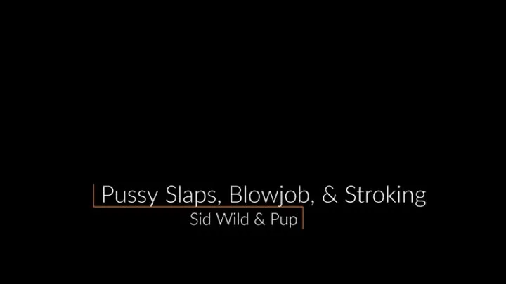 Pussy Spanks, Blowjob, Cock Stroking, & Pussy Fondling - FULL VID