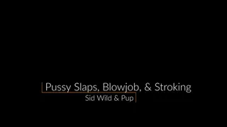 Pussy Spanks, Blowjob, Cock Stroking, & Pussy Fondling - FULL VID