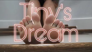 Tiny&#039;s Dream