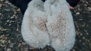 Walk in the woods got my slippers covered