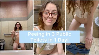 Peeing in 3 Public Toilets in 1 Day!