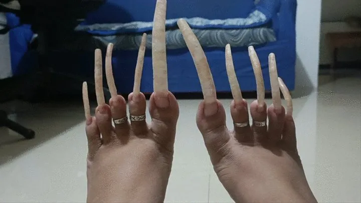 Super Long Toenails