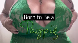 Born to Be a Paypig