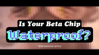 Is Your Beta Chip Waterproof?