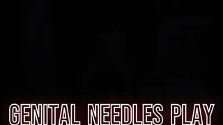 Mistress Magda - Genital needles play