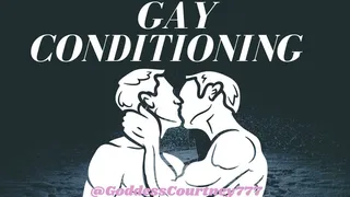 Gay Conditioning
