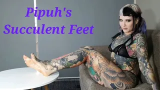 Pipuh's Succulent Feet
