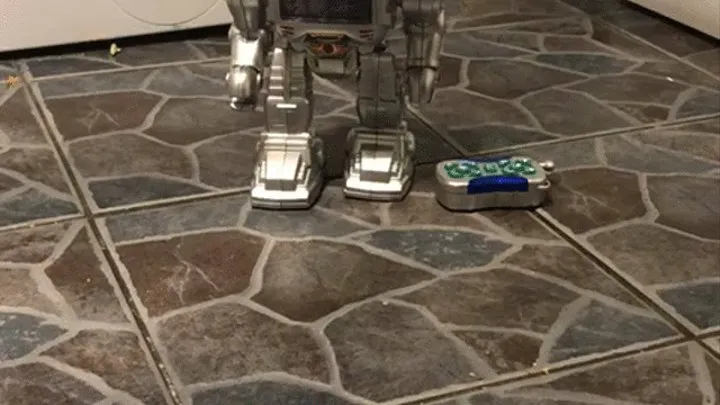 2nd Toy robot destroyed