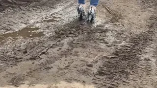 muddy walk in heels