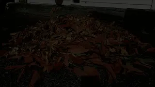 Crushing leaves