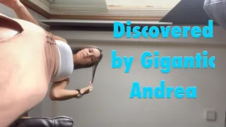 Discovered by Gigantic Andrea