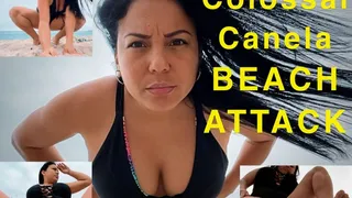 Colossal Canela BEACH ATTACK