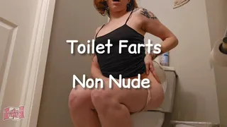 Toilet Farts Non Nude