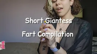 Short Giantess Fart Compilation