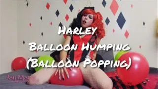 Harley Balloon Humping