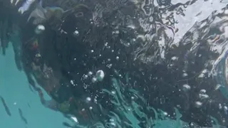 Underwater selfie play time