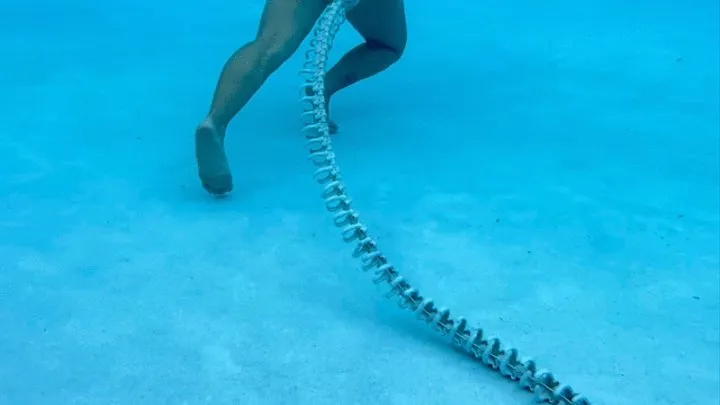 My Halloween prop snake skeleton taking a "test drive" in the resort pool