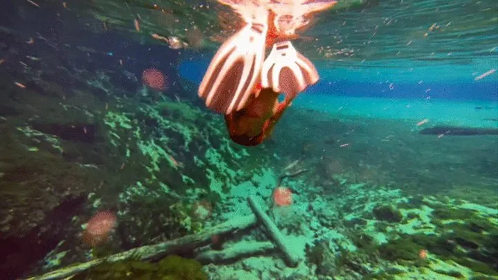 Carissa in the red bikini in the public spring-freediving fun!