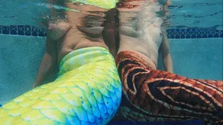Mermaid vs Siren part 2