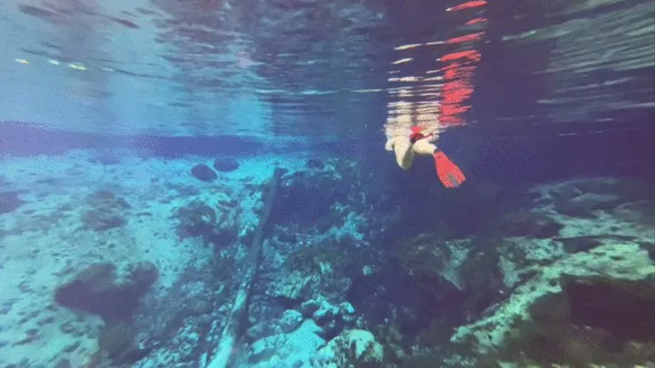 Carissa in a smaller spring freediving and bonus play in the red dress underwater