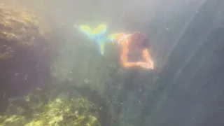 Mermaid in the deep spring-revised