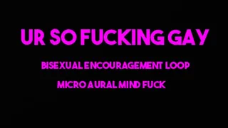 UR SO FUCKING GAY Micro mind fuck loop