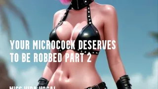 YOUR MICROCOCK DESERVES TO BE ROBBED PART 2
