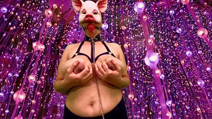 Piggy gets milked and tied