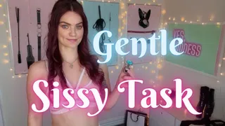 Gentle Sissy Training