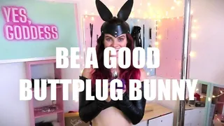 Be a Good Buttplug Bunny