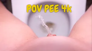 Pee POV ! Toilet Fetish