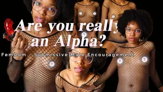 Are you REALLY an Alpha? (Goddess Anya Divine) - FemDom - Submissive Male Encouragement - Ebony Domme in Black Fishnet Dress & Glasses - Glossy Lips (UNCENSORED)