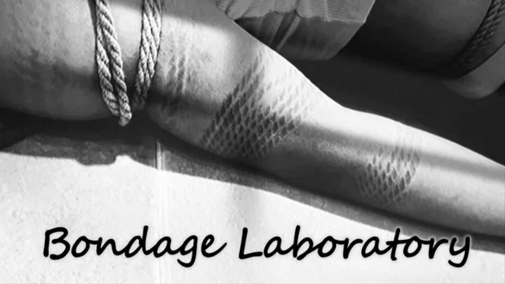 Bondage Laboratory