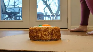 Thea Barefoot Crushes Whole Carrot Cake