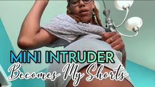 Mini Intruder Becomes My Shorts