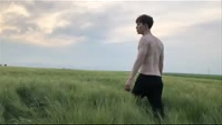 Step Son Ran Away From Home & Cute Boy JERKING OFF Outdoor in FIELD