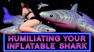 Humiliating Your Inflatable Shark Toy