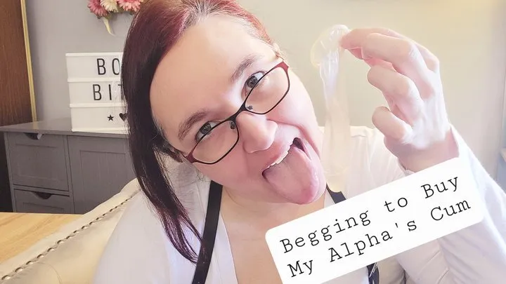 Beg to Buy My Alpha's Cum in a used Condom, you beta cuck