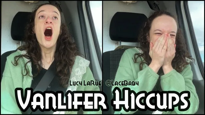 Vanlifer Hiccups