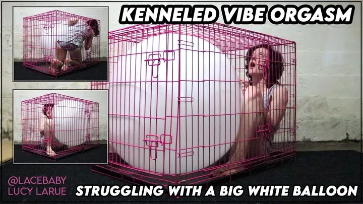 Kenneled Vibe Orgasm Struggling with a Big White Balloon