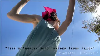 Tits n Armpits Road Tripper Trunk Flash