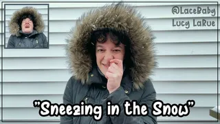 Sneezing in the Snow