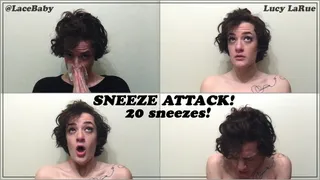 Sneeze Attack 20 Sneezes