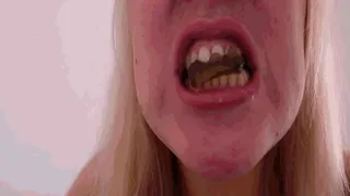 Sharp teeth & sweet bears-2 AVI