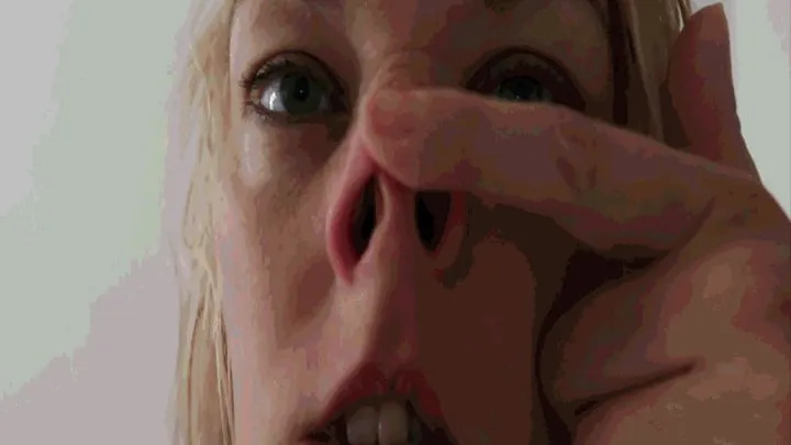 Wet pig nose MP4