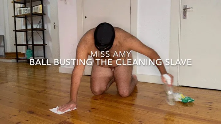 Ball Busting The Cleaning Slave