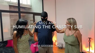 Humiliating The Chastity Sub