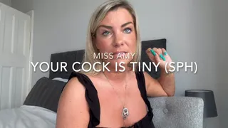 Your Cock Is Tiny (SPH)