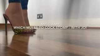 Which Mules To Cock Stomp - With JOI