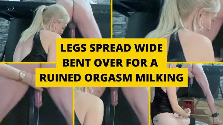 Legs spread wide and bent over for a ruined orgasm milking